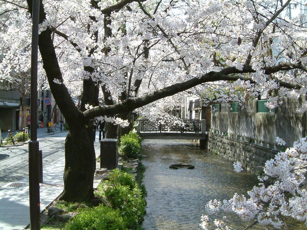Hotel Ponto Kyoto Exterior foto
